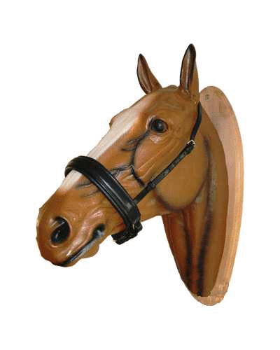 Yorky Bridle with extra wide noseband