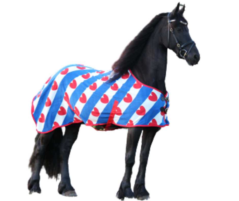 Adin Horse rug