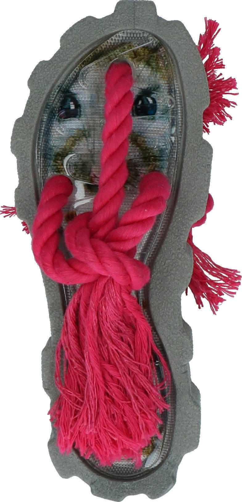 Dog chew toy with dental floss