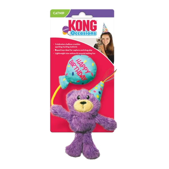 Teddy Bear birthday game EU cat game