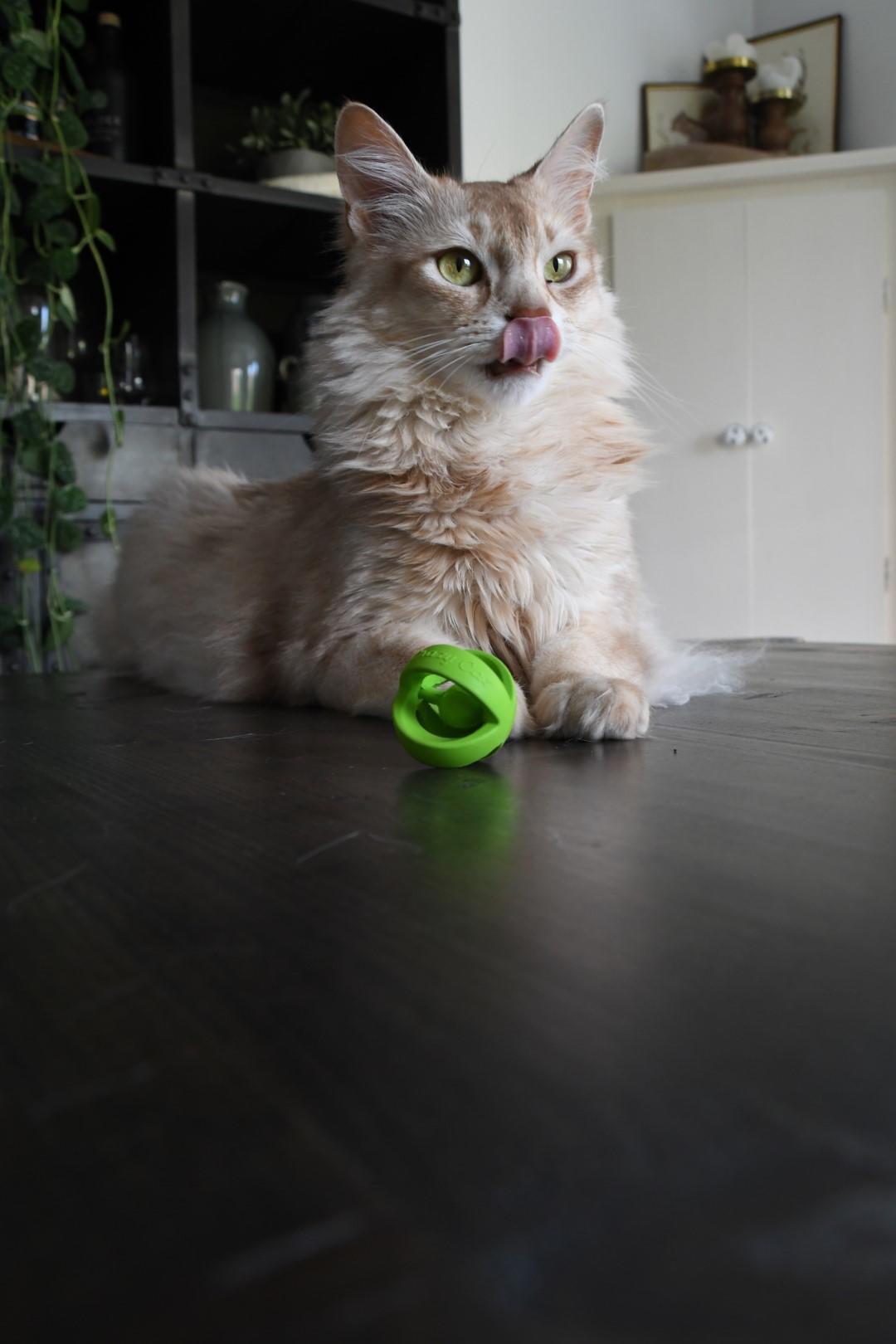 Wacky Wobbler Green ball cat toy