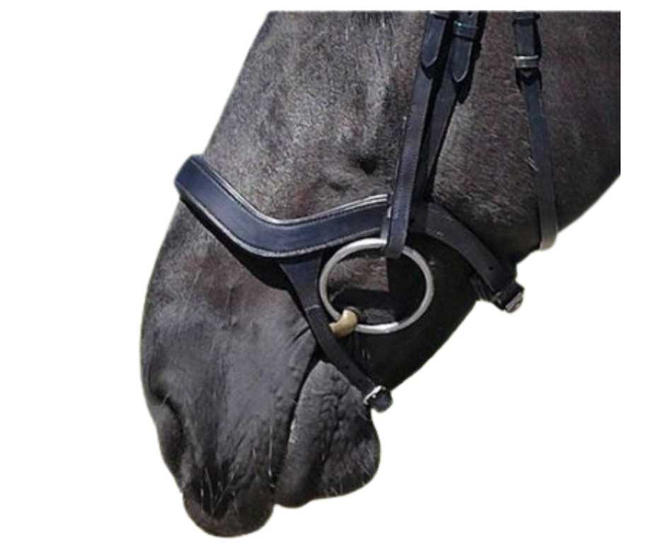 Diadal noseband