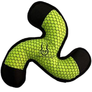 floating star with beeper dog toy