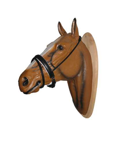 Bellina noseband