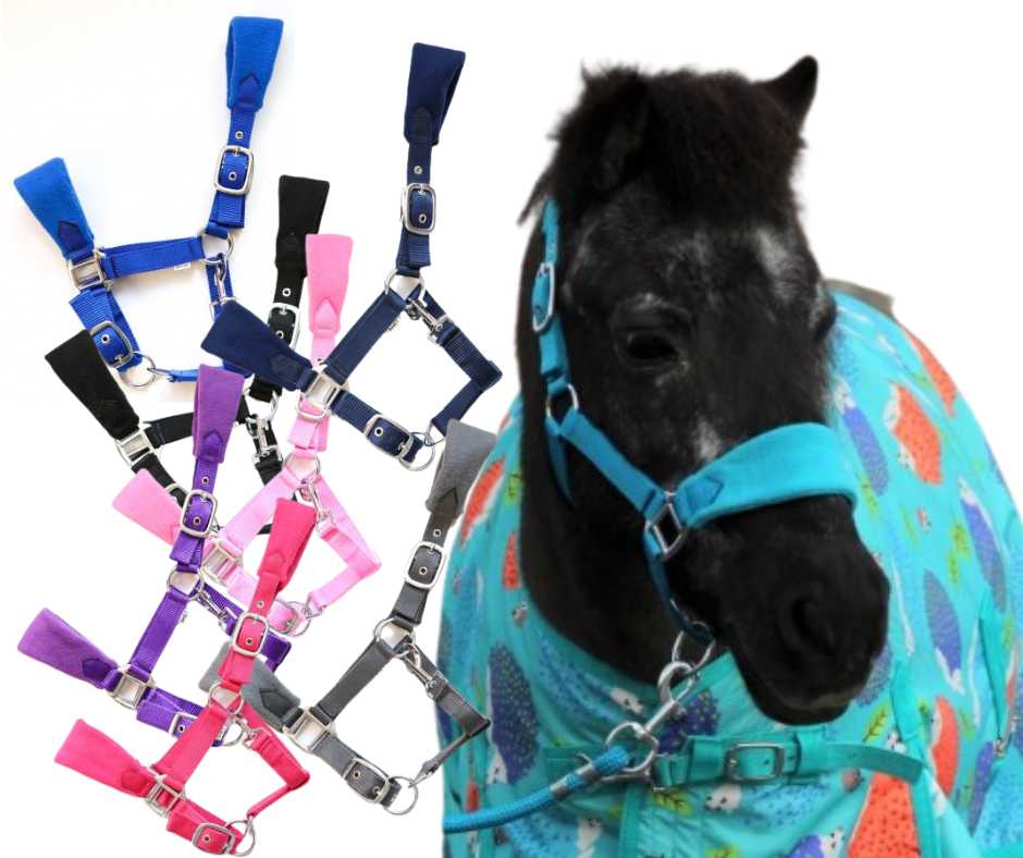 Bellwood mini headcollar halter