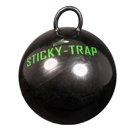 fly Trap ball