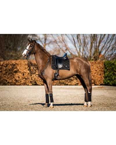 Showtime Crown Dressage saddle pads