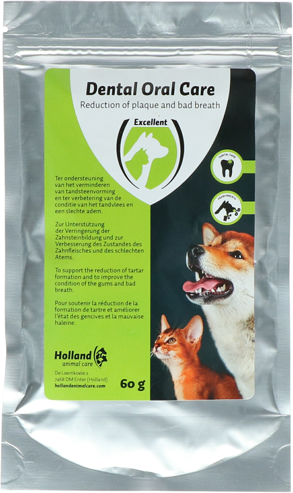 Dental oral care for cat, dog health, teeth