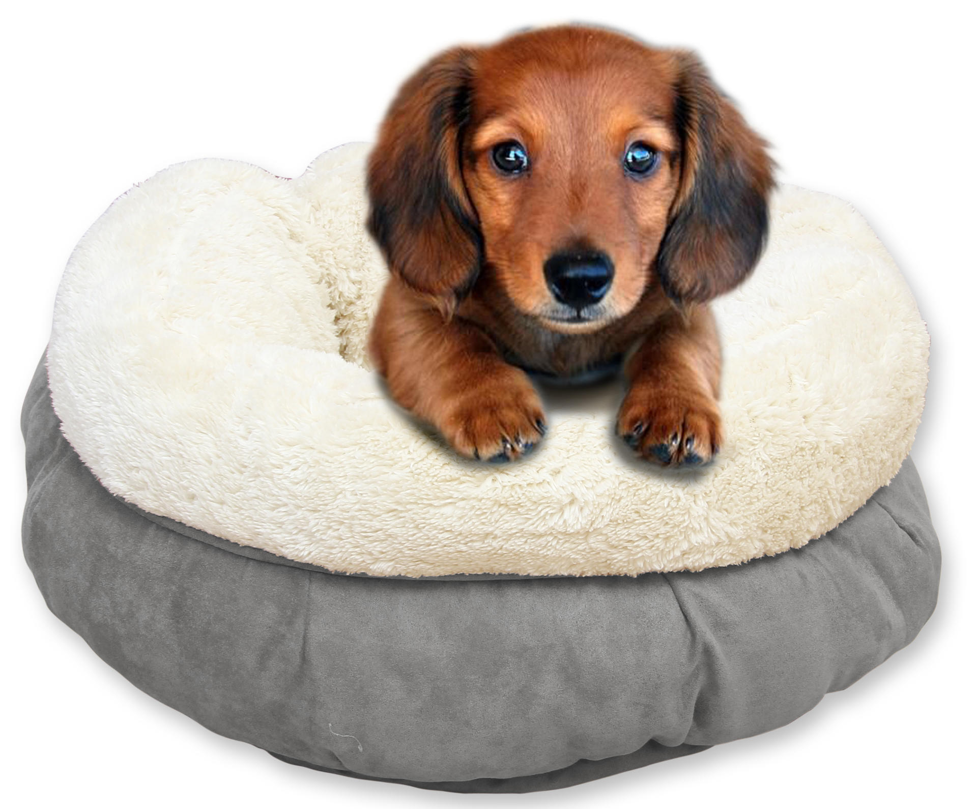 Donut shaped extra soft dog bed