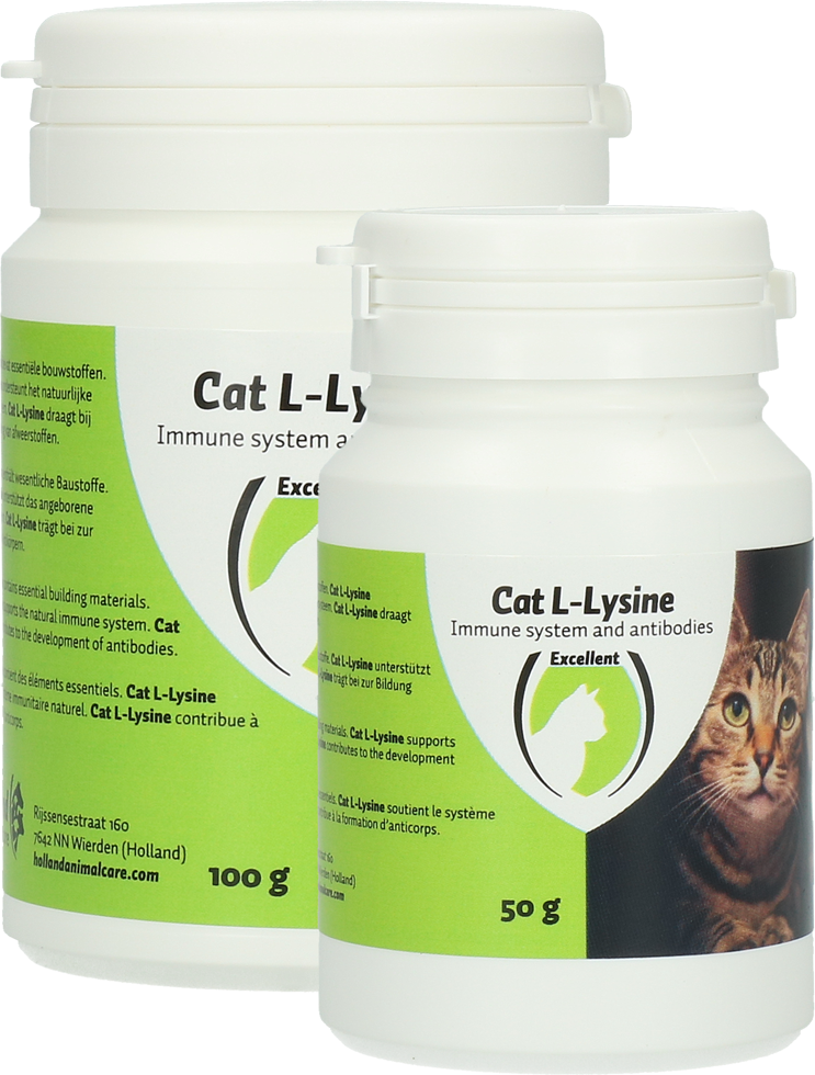 L-lysine, cat multivitamin and food supplement, health