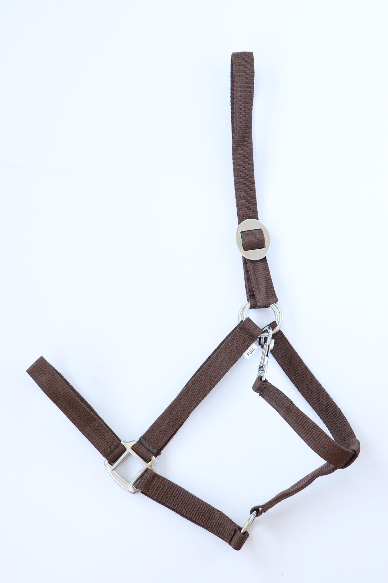Apollo Nylon headcollar