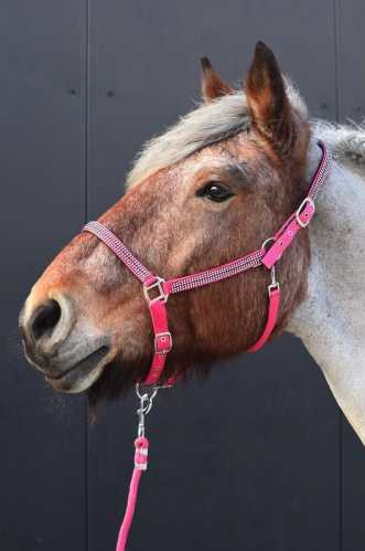 Volla Headcollar,  halter XXFull