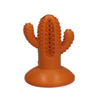 Tooth cleaning cactus for dogs