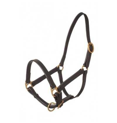 foal headcollar