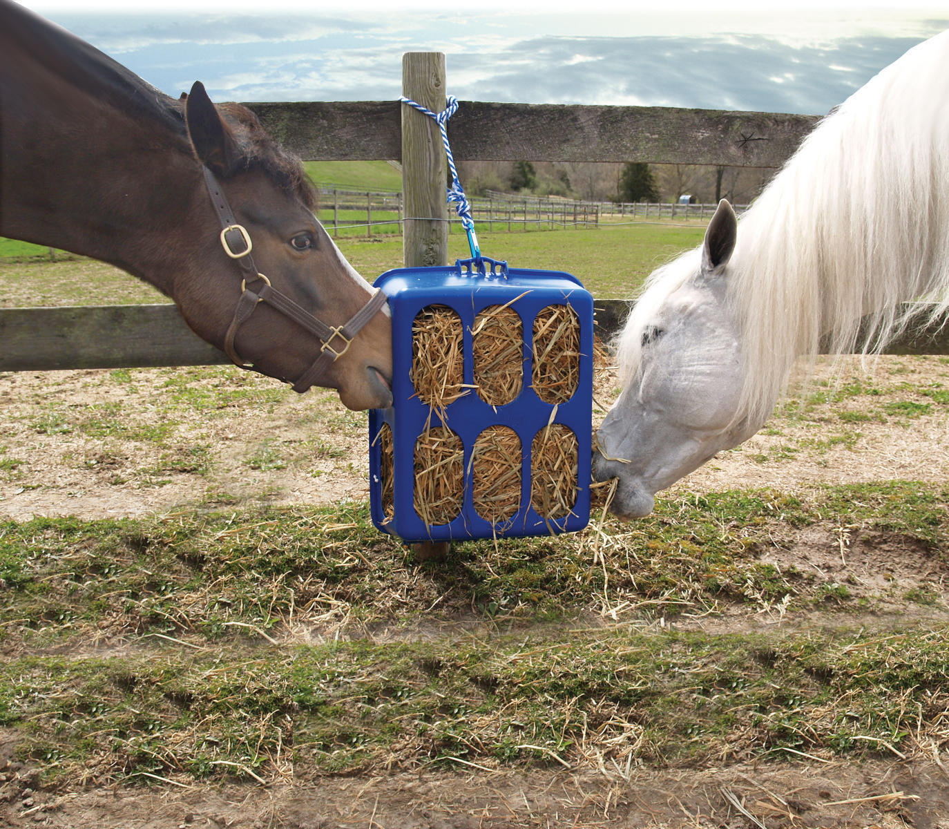 hay rack 80cmx50cm plastic stable animal housing feeding drink technology container