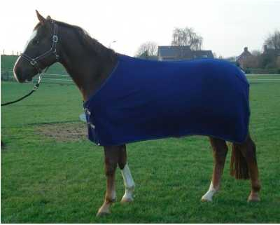 Candy Horse blanket