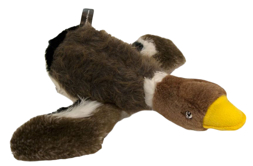 Beeping wild duck dog toy plush