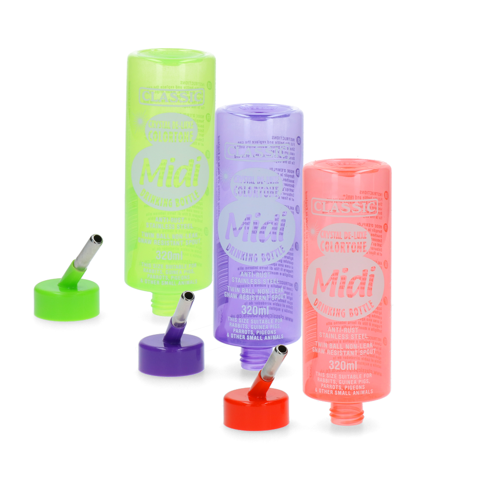 Drinking bottle Colortone Midi 320 ml
