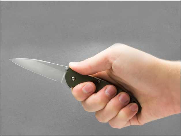 Leek 1660OL folding knife