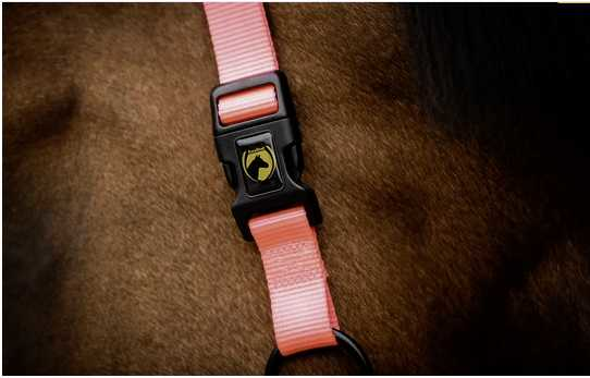 Monzo Headcollar, halter