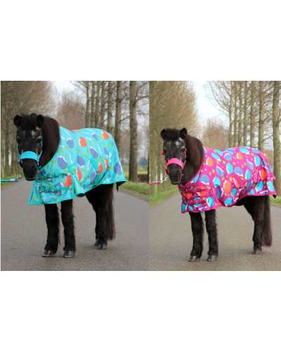 Harry and Hector Hedgehog Pony Rain rug