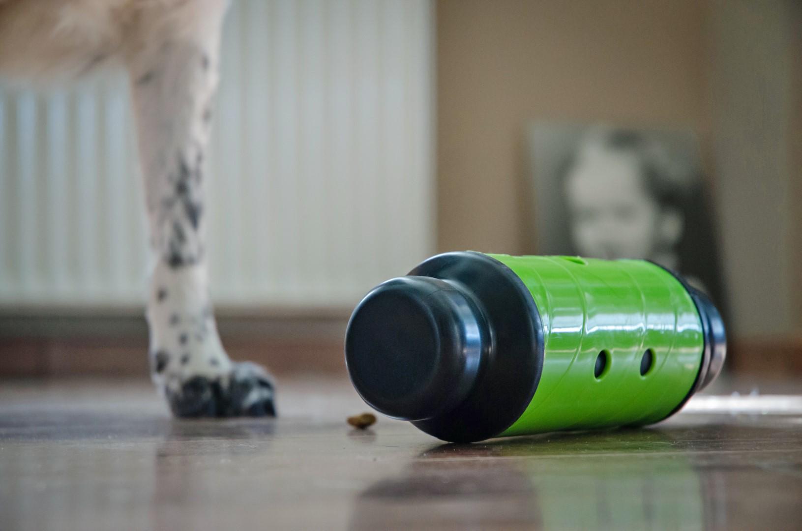 Slow feeding roller for dogs L