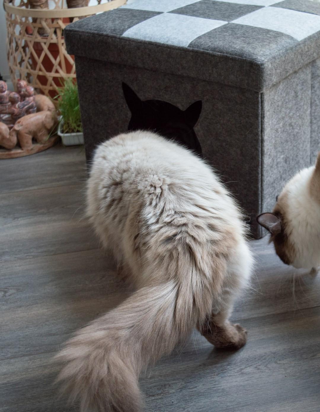 Sleep light-dark grey Pet Cube cat bed