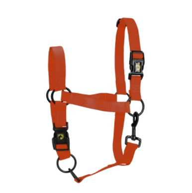 Monza Headcollar, halter