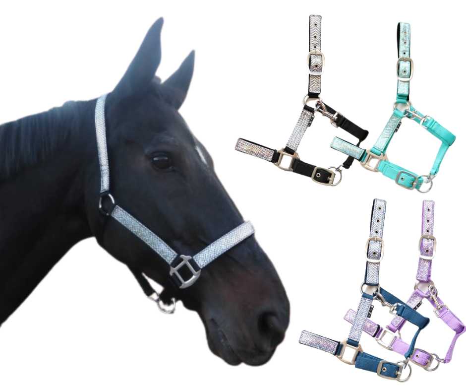 Shinny Headcollar, halter