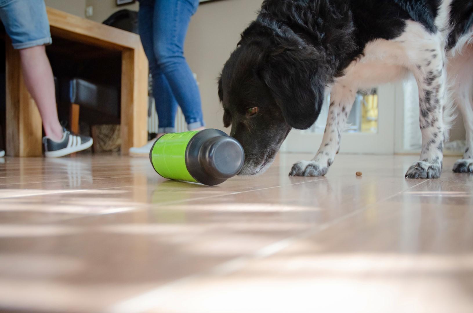 Slow feeding roller for dogs L