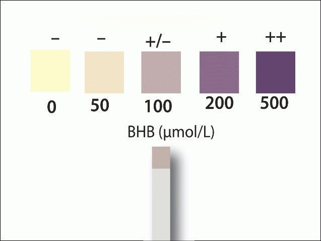 bovine ketosis test