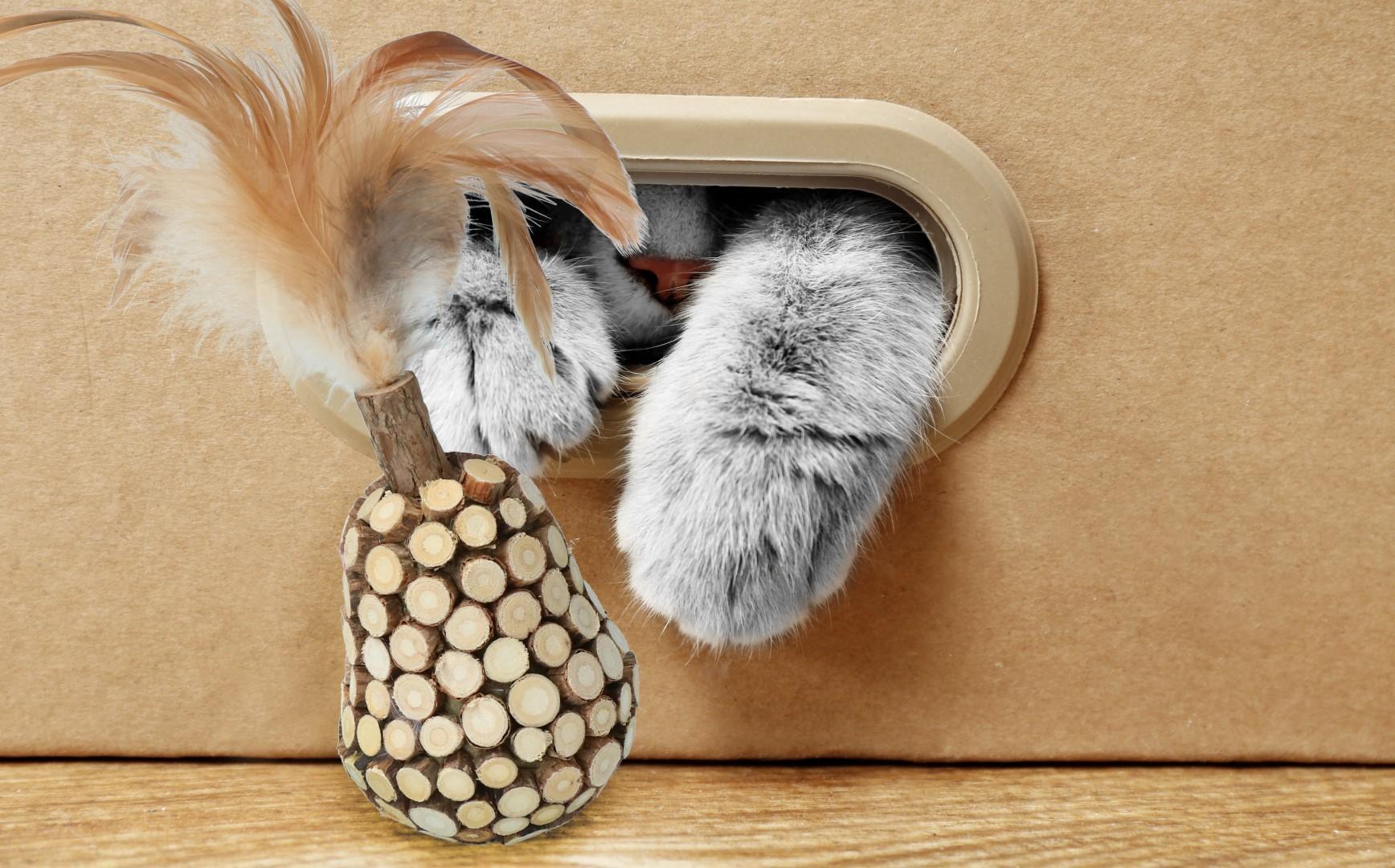 Stick with caterpillar and feathers cat toy