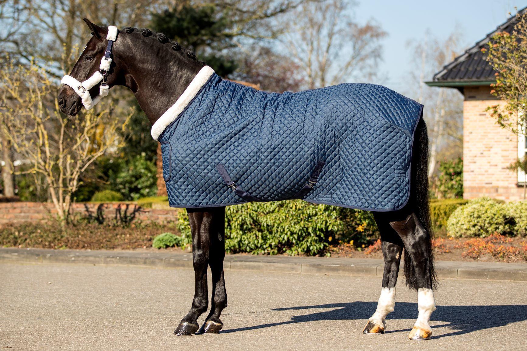 Showtime Desiro horse rug