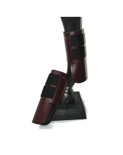 101 tendon foot protection