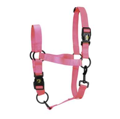 Monza Headcolla,  halterr