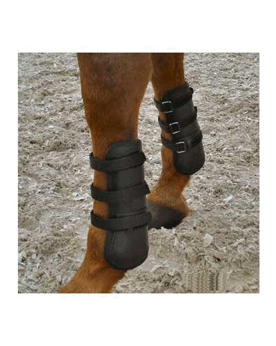 120 Leather tendon  protection boots with double velcro closure black full horse foot protection