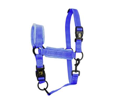 Monzo Headcollar, halter