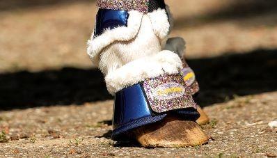229 Show-time Gold Rush Pataharang small size navy blue 3XS Horse foot protection