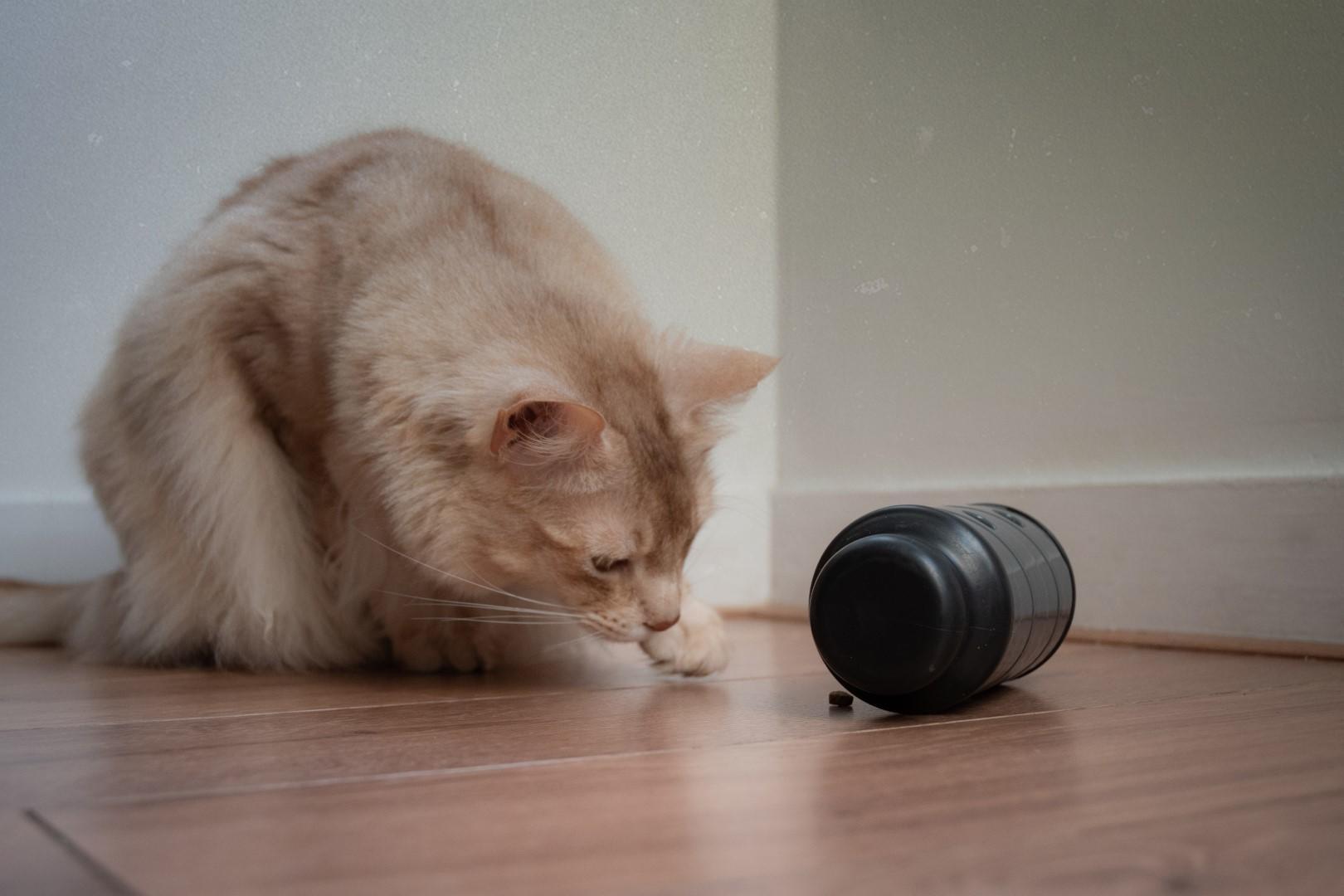 Slow feeding toy for dog and cat