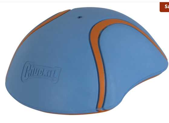 Slider indoor dog toy