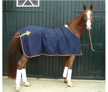 Paola horse rug