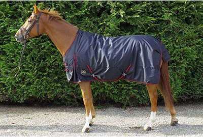 Deniero winter horse rug