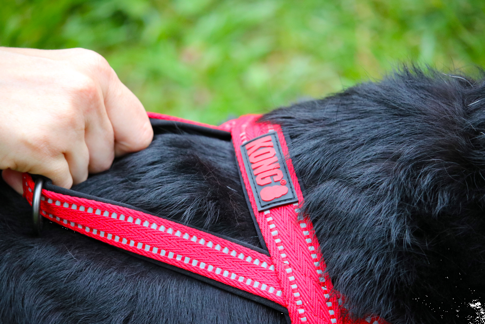 Norwegian dog harness L