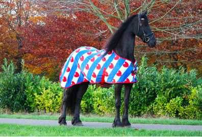 Adin Horse rug