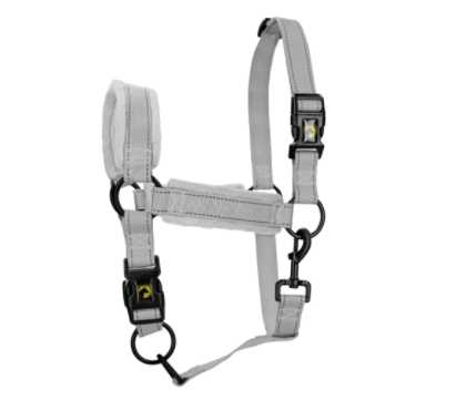 Monzo Headcollar, halter