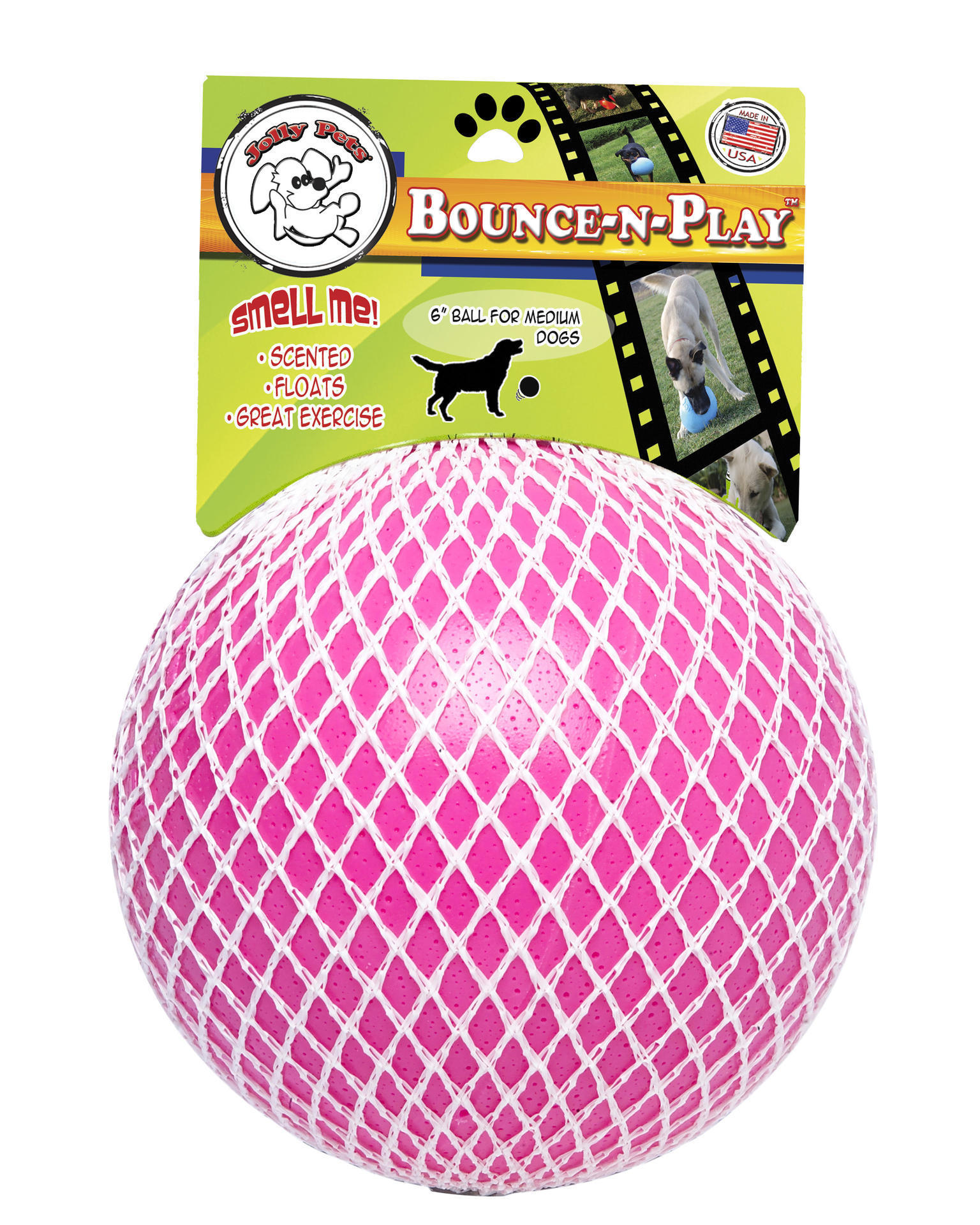 Bounce-n Play 20cm dog ball