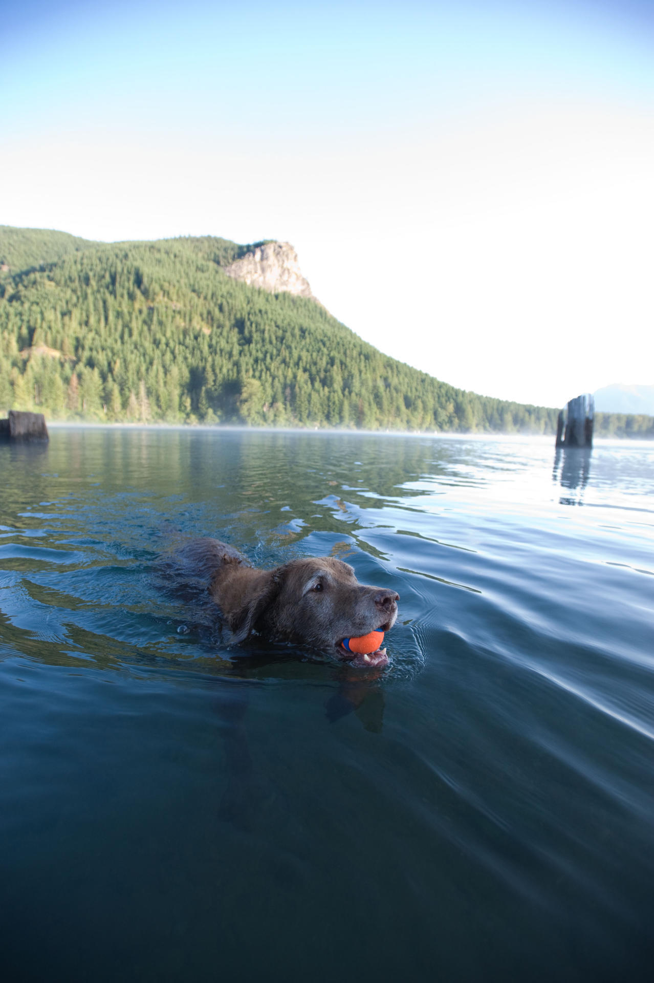 Rubber ball 5 cm 2 pieces