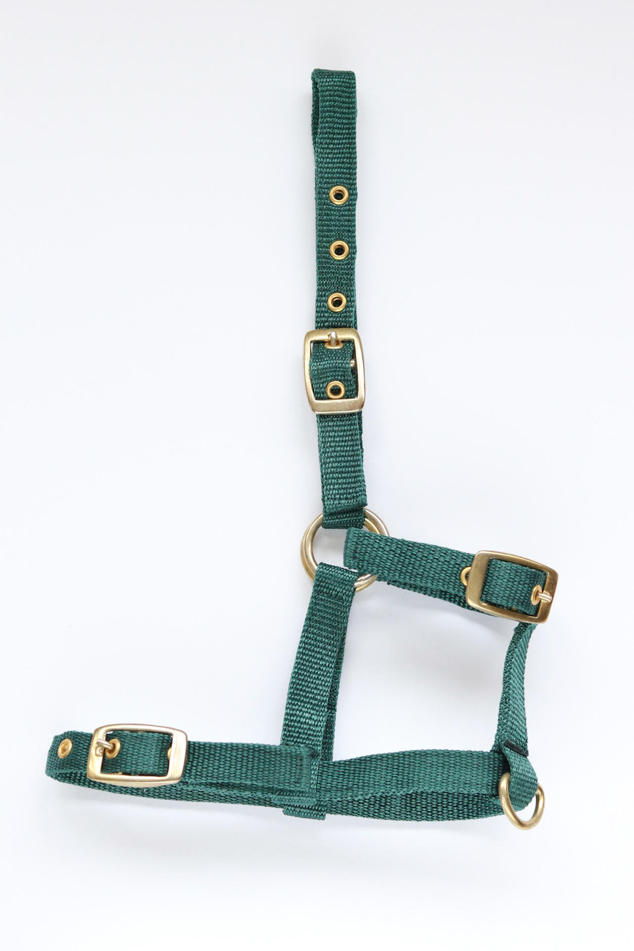 Amika headcollar