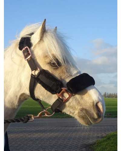 Tivoli Headcollar, halter
