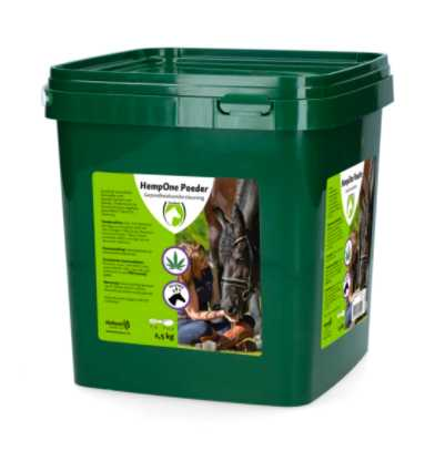 supplementary feed horse health